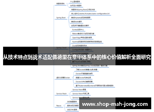 从技术特点到战术适配佩德里在意甲体系中的核心价值解析全面研究