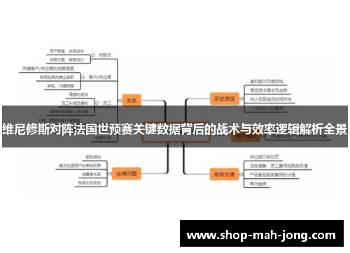 维尼修斯对阵法国世预赛关键数据背后的战术与效率逻辑解析全景